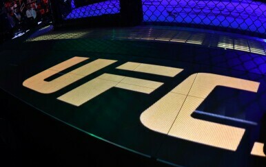 UFC-ov logo