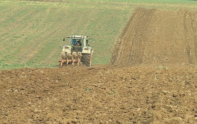 Ministarstvo poljoprivrede planira 50 milijuna eura potpore za sjetvu, životinje i ribarstvo