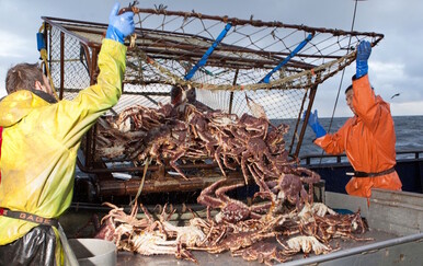 Što je "Deadliest Catch", čiji je sudionik poginuo u stravičnoj nesreći?
