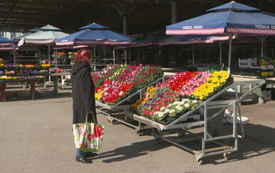 Tržnice su pune prvih proljetnica, a prava navala tek se očekuje