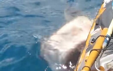 Napao ga morski pas, no nitko mu ne bi vjerovao da nije imao kameru