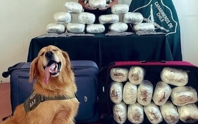 Ovim dobrim dečkima ne želite se zamjeriti, pogledajte kako su ponosni na svoj ulov