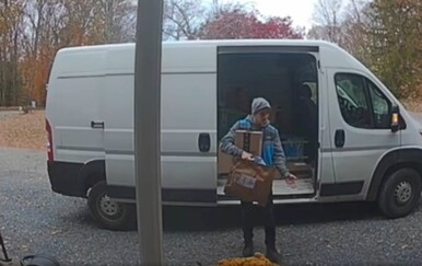 Mačka pronašla El Dorado, njezina reakcija nasmijala sve vlasnike mačaka