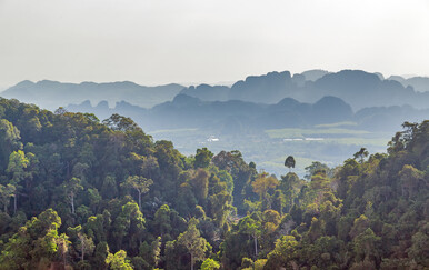 Znanstvenici u Zapadnoj Papui otkrili životinje za koje se mislilo da su izumrle prije 6000 godina