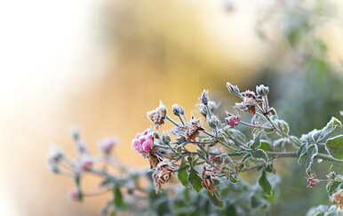 Vremenska prognoza: Čeka nas topao tjedan, ali mjestimično će biti i kiše