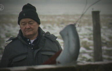 POZIV Tri godine agonije u Slavoniji: Afrička svinjska kuga ostavila je poljoprivrednike bez svega