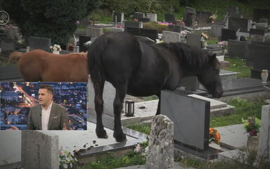 POZIV Mještani ponovno vode bitku s tuđim konjima koji uništavaju imovinu i oskvrnjuju grobove! "Opet su bez nadzora, ništa se ne poduzima"