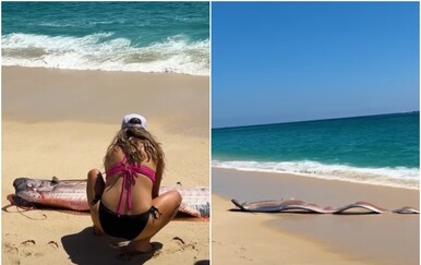 VIDEO Žena na plaži u Meksiku uočila dvije rijetke ribe vesla