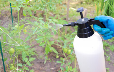 Već jednokratna izloženost vinclozolinu u trudnoći povećava rizik bolesti kroz 20 generacija, pokazuje novo istraživanje