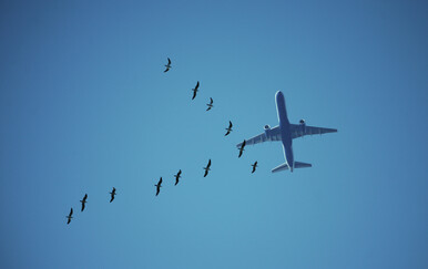 Kako se piše: letiti ili letjeti