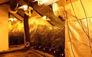 Policija u Senju razotkrila improvizirani laboratorij za uzgoj konoplje