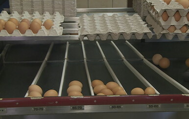 Udar na kućni budžet: Cijene jaja porasle do 40 posto, a uvoz iz Ukrajine i Poljske u ogromnom porastu