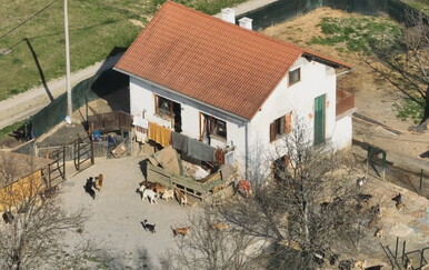 Mještani očajni zbog divljeg skloništa za životinje
