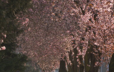 Topliji dani donijeli probleme s alergijama, ali uskoro stiže promjena