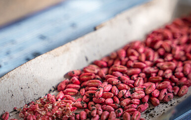 Otac pokušao ubiti kćer (3) u Njemačkoj, a zatim optužio majku, jedan detalj ga razotkrio