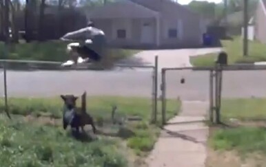 Prodavač za dlaku pobjegao psu čuvaru, nadzorna kamera snimila dramatičnu situaciju