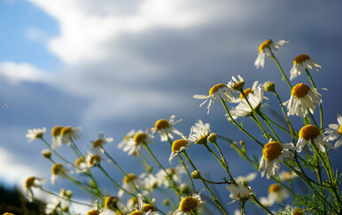 Vremenska prognoza: Počelo je proljeće, ali vrijeme još nije stabilno