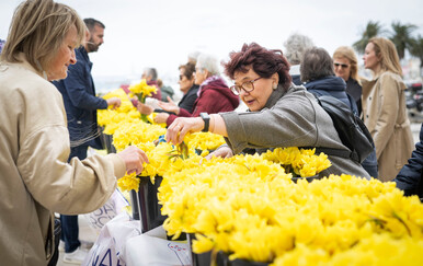 Dan narcisa - gotovo 700 žena umre godišnje od raka dojke