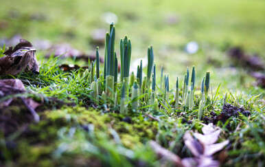 VREMENSKA PROGNOZA Većinom djelomično sunčano i ugodno, no krajem tjedna stiže zahladnjenje i oborine