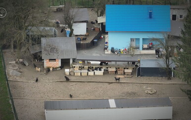 Ilegalni azili i birokratski kaos: Institucije prebacuju odgovornost dok u "azilima" ograđenim strujom borave stotine pasa