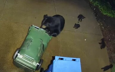 Stanari se iznenadili kad su otkrili izvor buke u dvorištu, pogledajte što ih je dočekalo