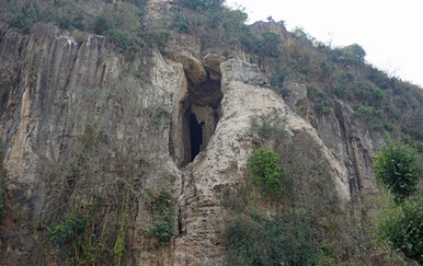 U Kambodži otkrivene dosad nepoznate vrste životinja