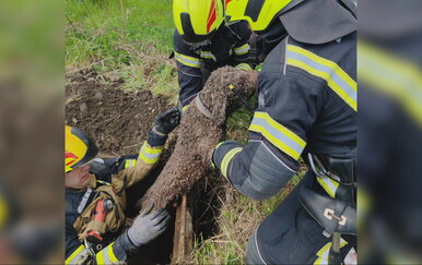 Vatrogasci spasili psa iz šahta