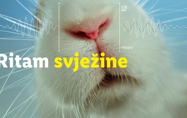 "Ritam svježine": Lidl testira svježinu kroz kreativnu kampanju na društvenim mrežama