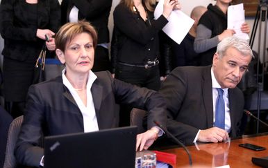 Martina Dalić i Ante Ramljak pred saborskim odborom (Foto: Pixell)