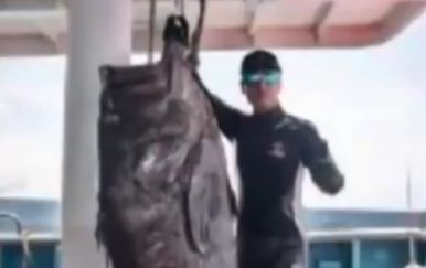 Gigantski ulov kineskih ribara: Ulovili kirnju dugačku 1,8 metara (Screenshot YouTube)