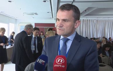 Ante Žigman (Foto: dnevnik.hr)