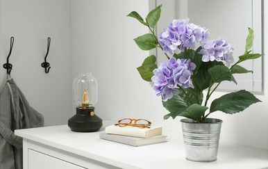 Fejka lila hortenzija može biti savršeni ukras za dom