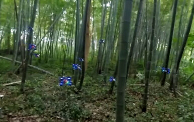 Testiranje roja dronova u gustoj šumi