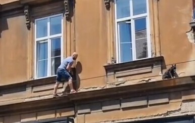 Spašavanje psa