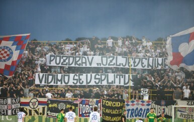 Hajduk