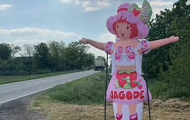 Jagodica Bobica