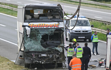 Uhićeni vozači automobila i autobusa, policija demantirala priču o naletu na srnu