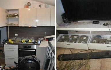Istarska policija pronašla marihuanu