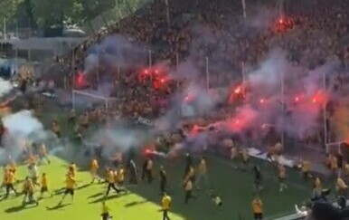 Navijači Dynamo Dresdena