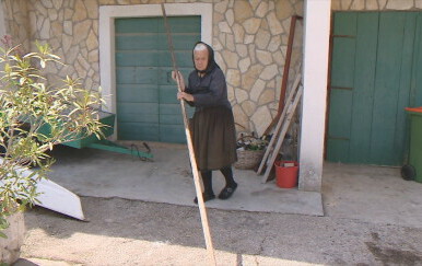Baka ribarica ne boji se ni morskog psa, opisala je neobičan susret: "On radi svoj posao, a ja svoj"