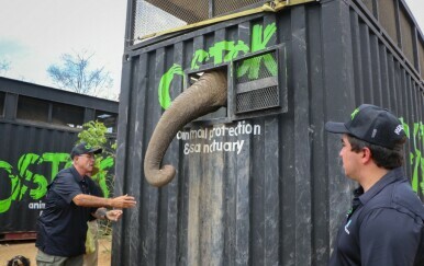 Životinje iz meksičkih utočišta prisiljene na bijeg jer su pod udarom narkokartela