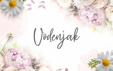 Tjedni horoskop od 23. do 30. lipnja - Vodenjak