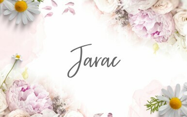 Tjedni horoskop od 23. do 30. lipnja - Jarac