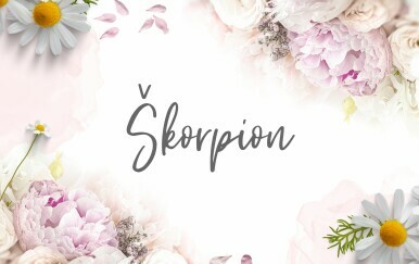 Tjedni horoskop od 23. do 30. lipnja - Škorpion