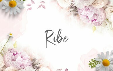 Tjedni horoskop od 23. do 30. lipnja - Ribe