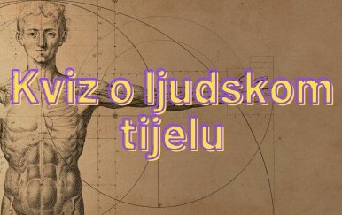 Kviz o ljudskom tijelu