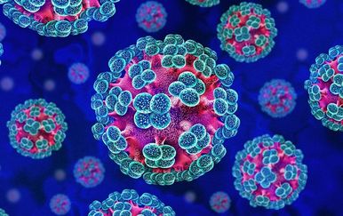 Hantavirus: Što uzrokuje i koji su simptomi opasne infekcije koja se širi nizozemskim kruzerom?