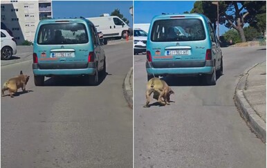 Policija kazneno prijavila vlasnika (59) koji je autom vukao psa po cesti