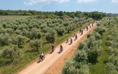 Gourm-E-bike: Otkrijte okuse i krajolike Kaštelir-Labinaca na dva kotača