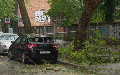 Vozač na čiji je automobil palo stablo u vožnji: "Udarilo je s bočne strane"